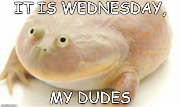 "It's Wednesday my dudes" meme with a bullfrog.