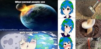 The 22+ Best Earth-chan Memes