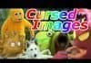 The 40+ Best Cursed Images | r/CursedImages Meme Origins & Backstory