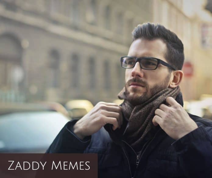 zaddy memes