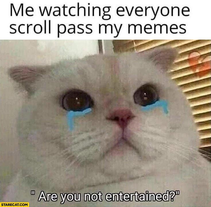 The Very Best Crying Cat Memes | Plus Sad Cat Meaning ...