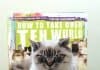 How to Take Over Teh Wurld: A LOLcat Guide 2 Winning How to Take Over Teh Wurld: A LOLcat Guide 2 Winning