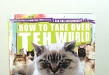 How to Take Over Teh Wurld: A LOLcat Guide 2 Winning How to Take Over Teh Wurld: A LOLcat Guide 2 Winning