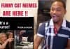 The Funniest Woman Yelling At Cat Memes